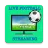 Live Football Streaming