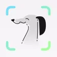 Pawnomenal - World of Dogs Pawnomenal - World of Dogs