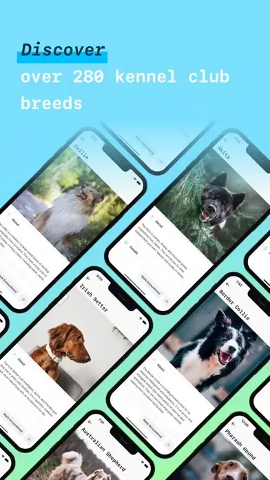 Tangkapan skrin Pawnomenal - World of Dogs