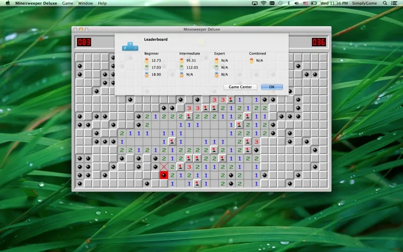 Minesweeper Deluxe Screenshots