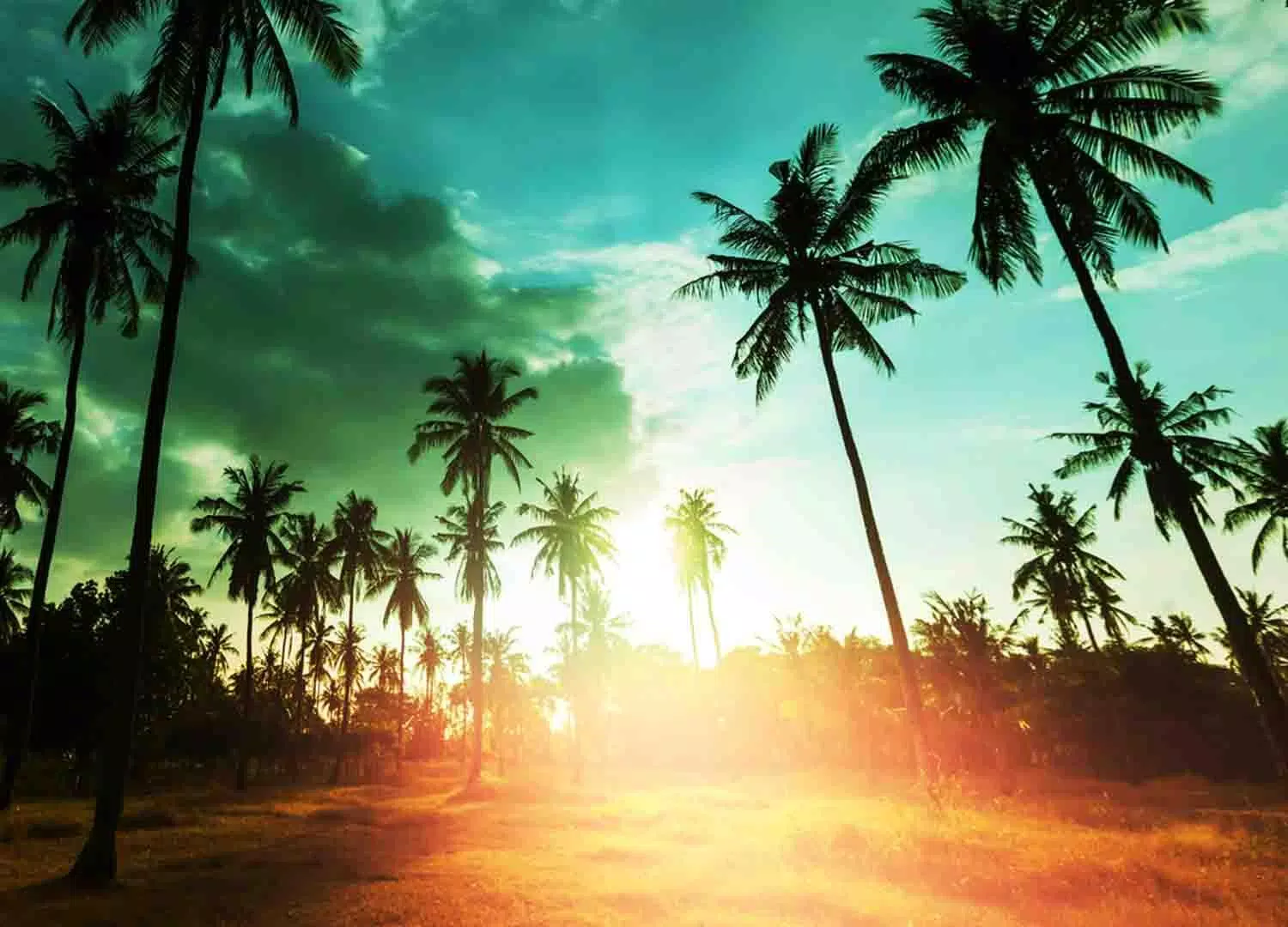 Hawaiian Islands Wallpaper Screenshots6