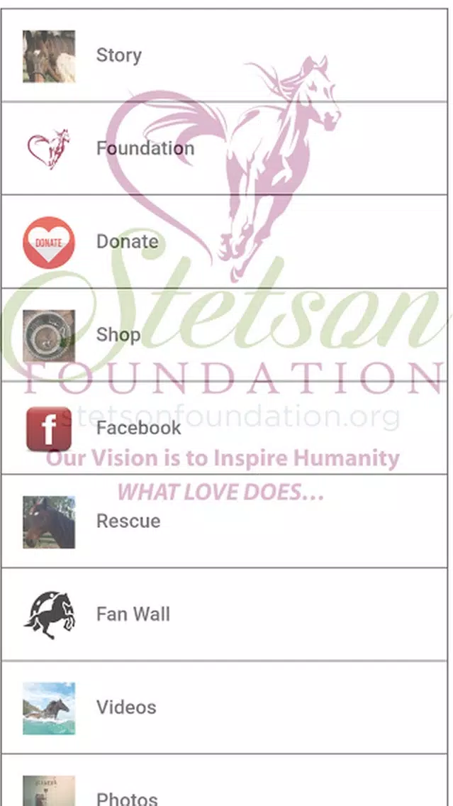 Stetson Foundation Screenshots