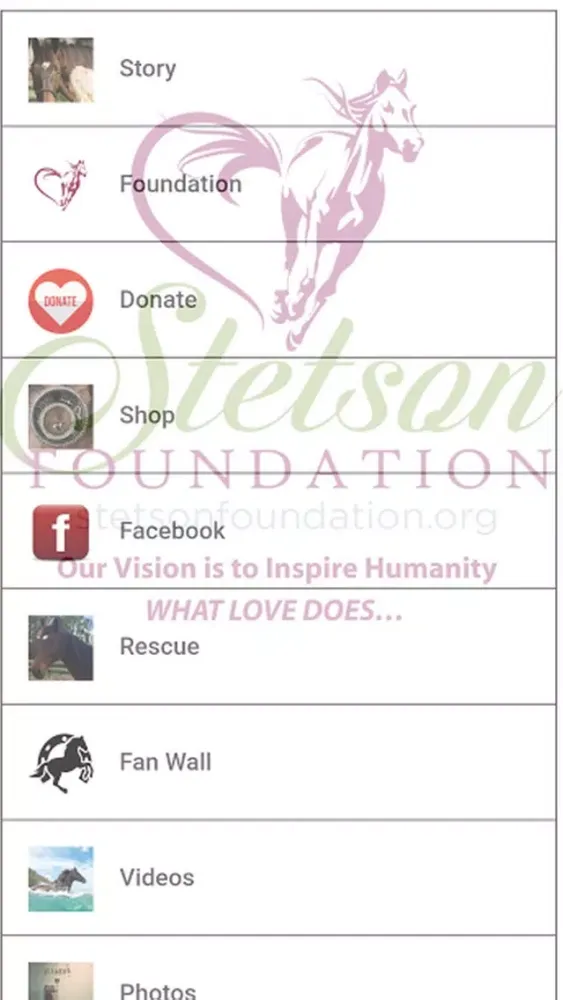 Ảnh chụp màn hình của Stetson Foundation