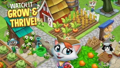 Capturas de tela do Kitty City: Harvest Valley