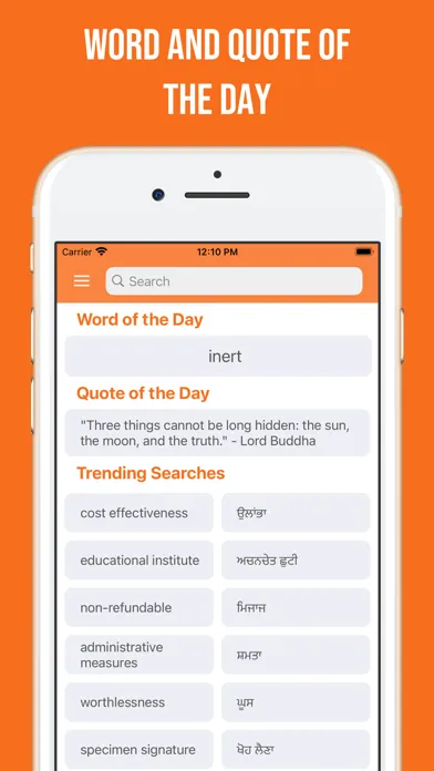 Punjabi and English Dictionary Screenshots