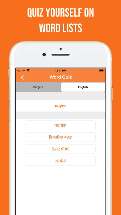 Punjabi and English Dictionary Screenshots