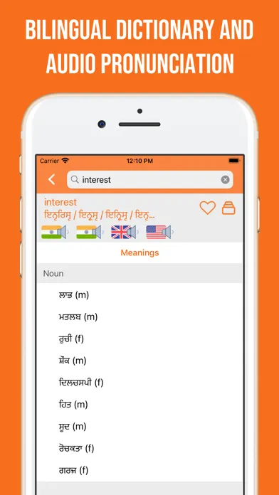 Punjabi and English Dictionary Screenshots