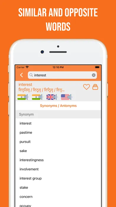 Punjabi and English Dictionary Screenshots