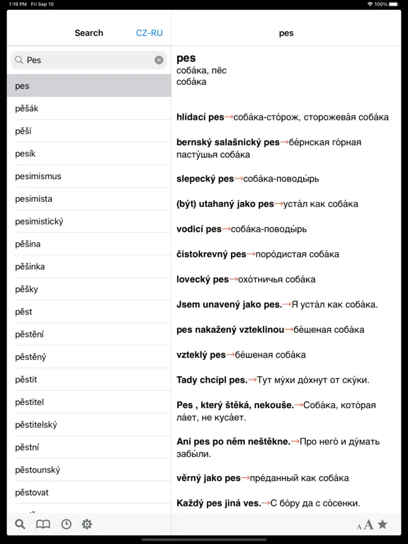 Czech-Russian dictionary iPad 應用截圖