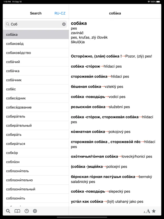 Czech-Russian dictionary iPad 應用截圖