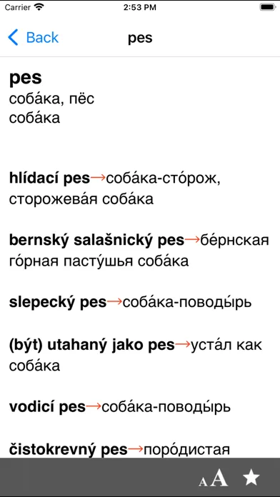 Czech-Russian dictionary應用截圖