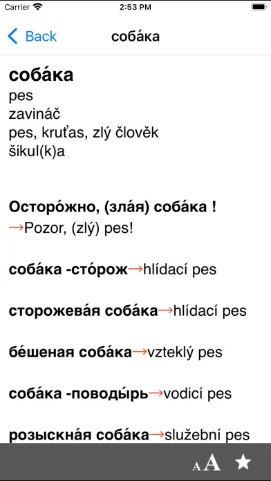 Czech-Russian dictionary應用截圖