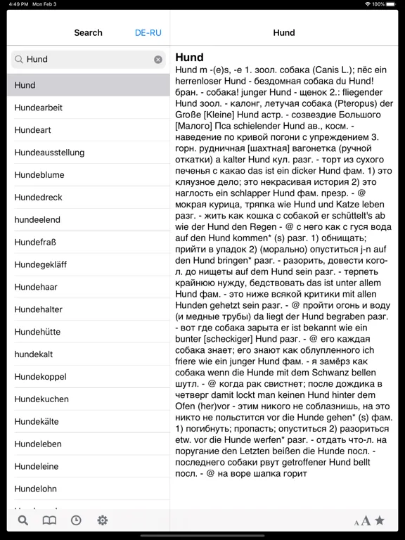 Screenshot di German-Russian dictionary DERU iPad 
