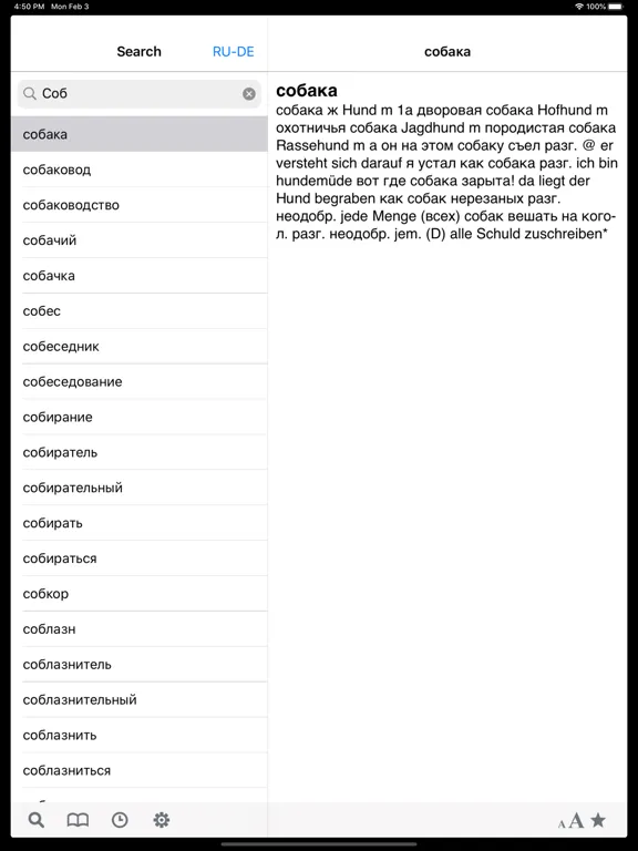 Screenshot di German-Russian dictionary DERU iPad 