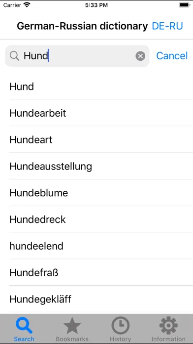 Screenshot di German-Russian dictionary DERU