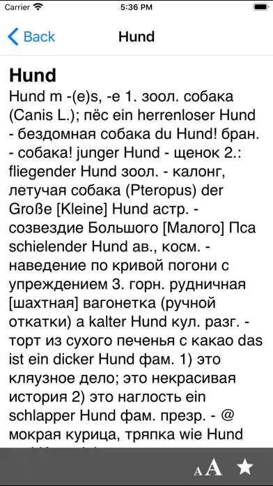 Screenshot di German-Russian dictionary DERU