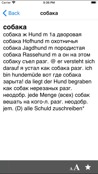Screenshot di German-Russian dictionary DERU