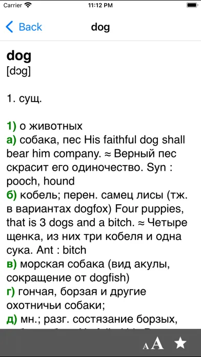 Big English-Russian dictionary 스크린샷