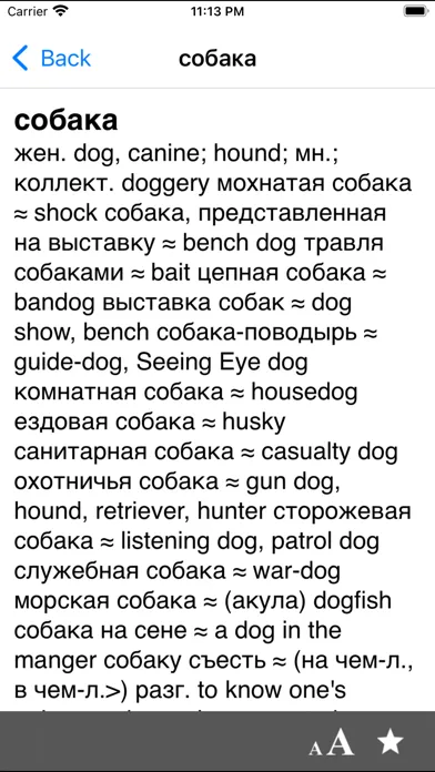 Big English-Russian dictionary 스크린샷