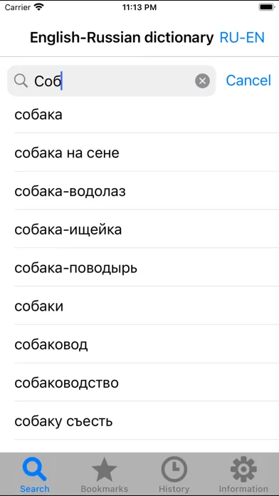 Big English-Russian dictionary 스크린샷