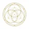 NIKARAM YOGA ACADEMY