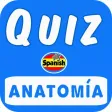 Preguntas sobre Anatomía Preguntas sobre Anatomía