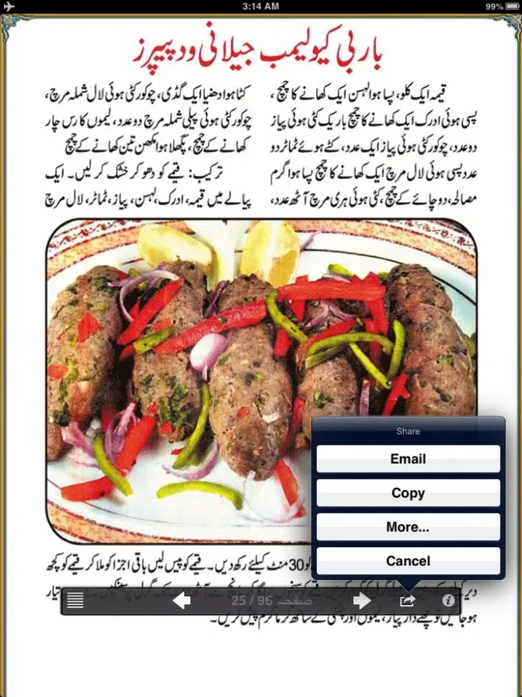 Urdu Cooking Recipes iPad 應用截圖