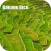 Banaue Rice Terraces Philippines Tourist Guide