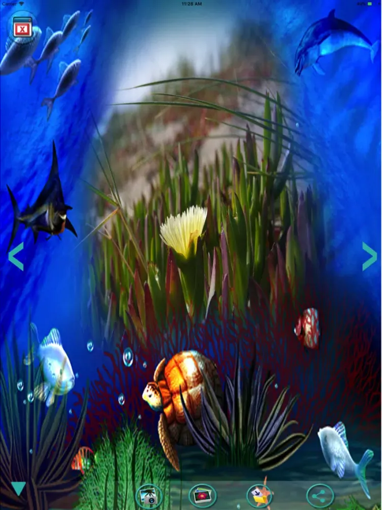 Captures d'écran de Photo frames-Frames & pictures iPad 