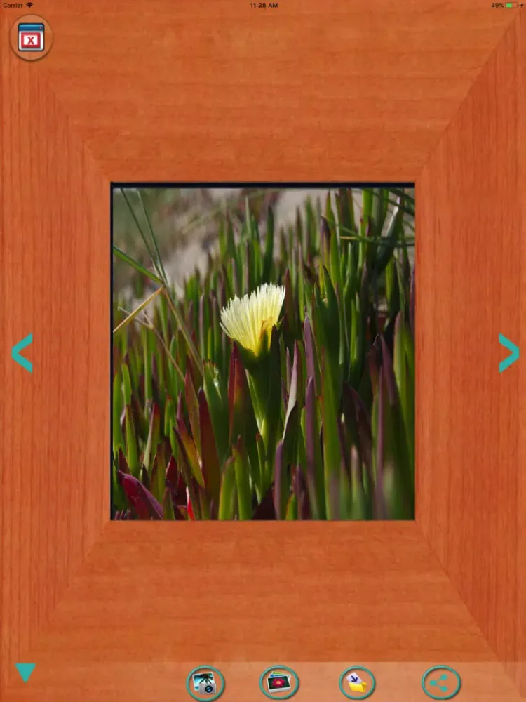 Captures d'écran de Photo frames-Frames & pictures iPad 