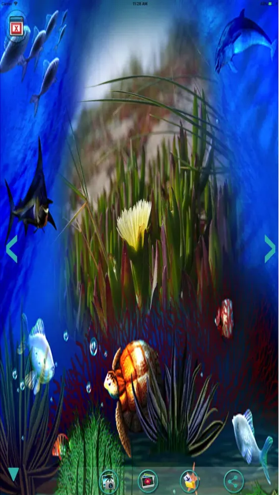 Captures d'écran de Photo frames-Frames & pictures