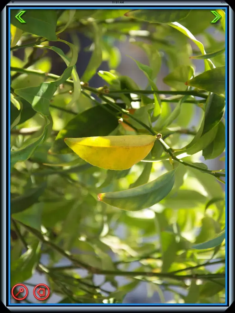 Photo locker ( Albums & Gallery ) iPad  سکرین شاٹس