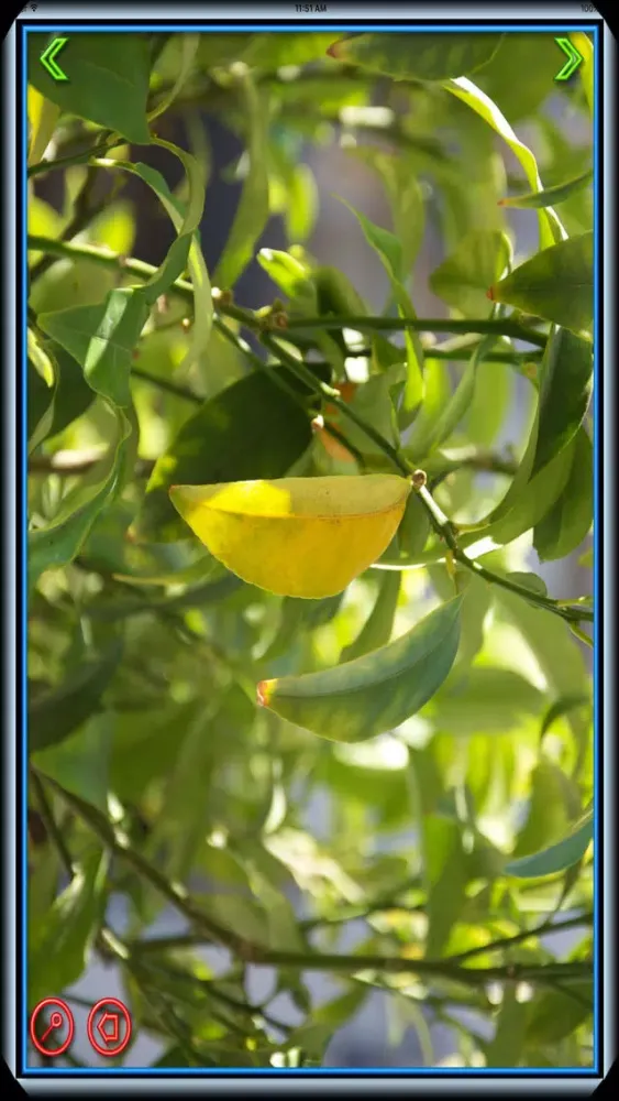 Photo locker ( Albums & Gallery ) سکرین شاٹس