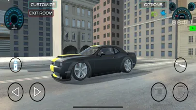 Open World Driver Screenshots