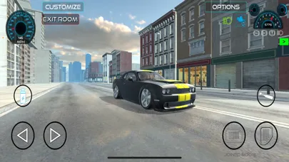 Open World Driver Screenshots