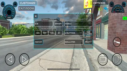 Open World Driver Screenshots