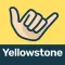 Yellowstone + Teton Tours