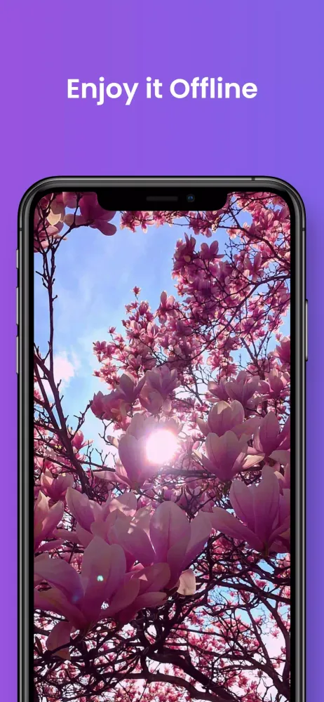 Beautiful Spring HD Wallpaper স্ক্রিনশট