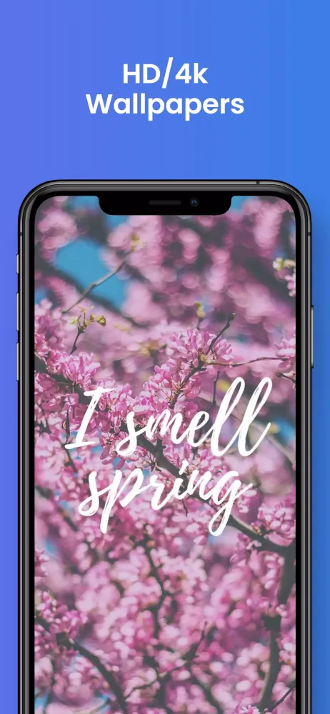 Beautiful Spring HD Wallpaper স্ক্রিনশট