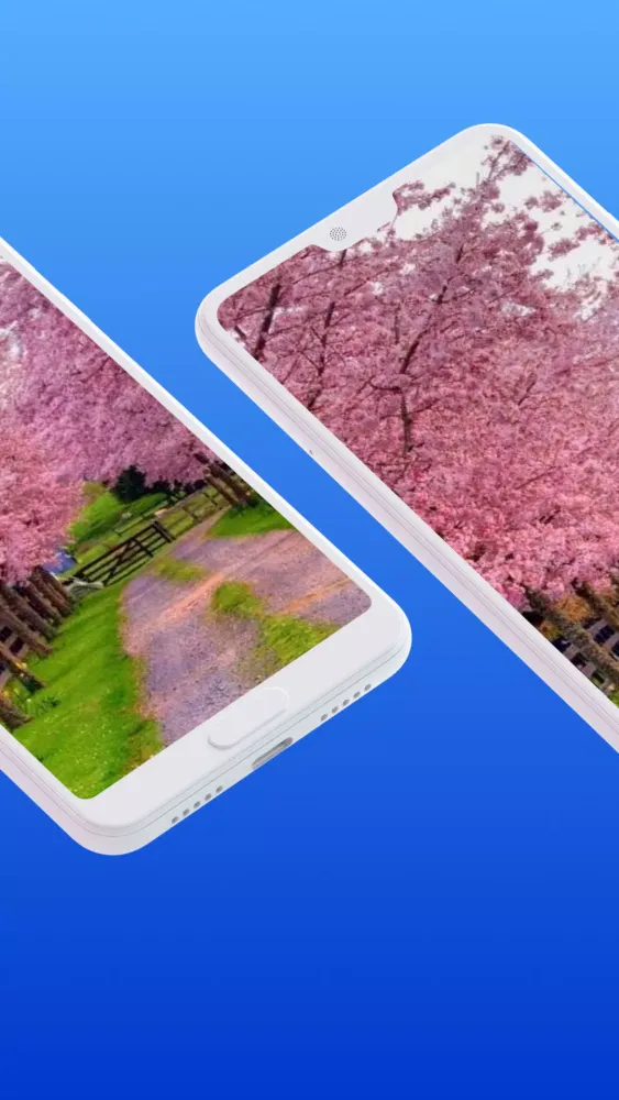 Beautiful Spring HD Wallpaper স্ক্রিনশট