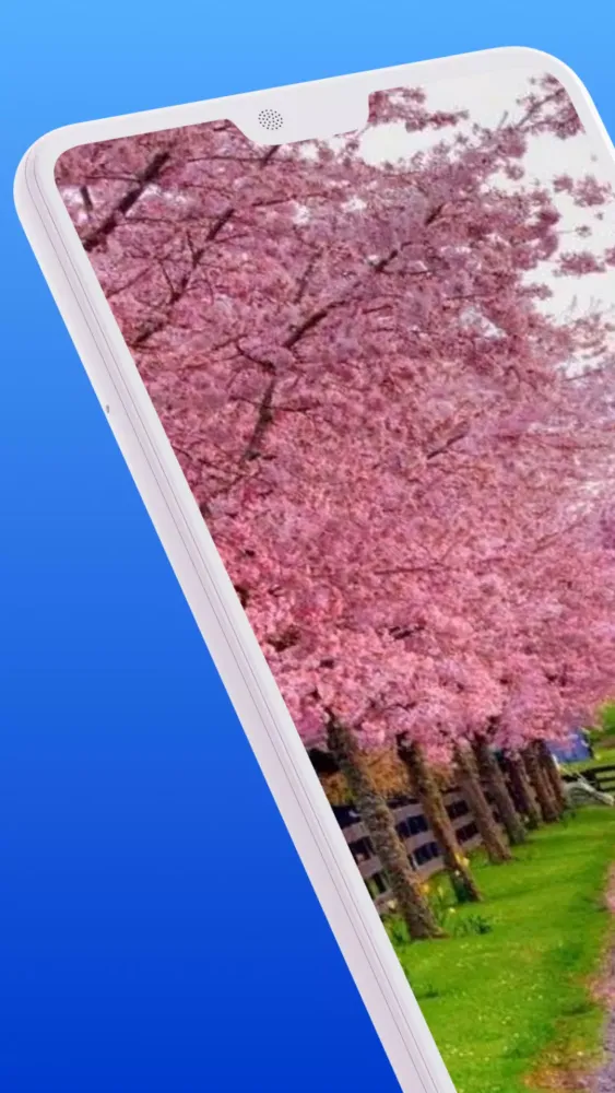Beautiful Spring HD Wallpaper স্ক্রিনশট