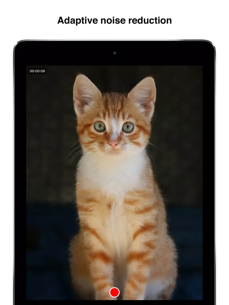 A.R.T. Camera iPad  Ekran Görüntüleri