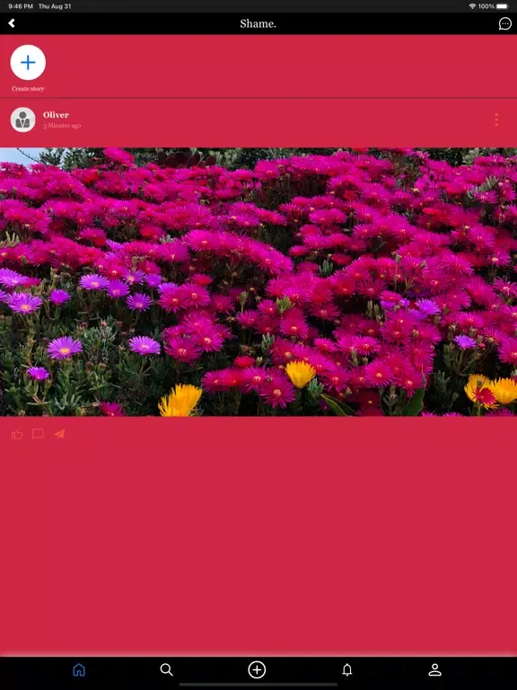 Shame App iPad 应用截图