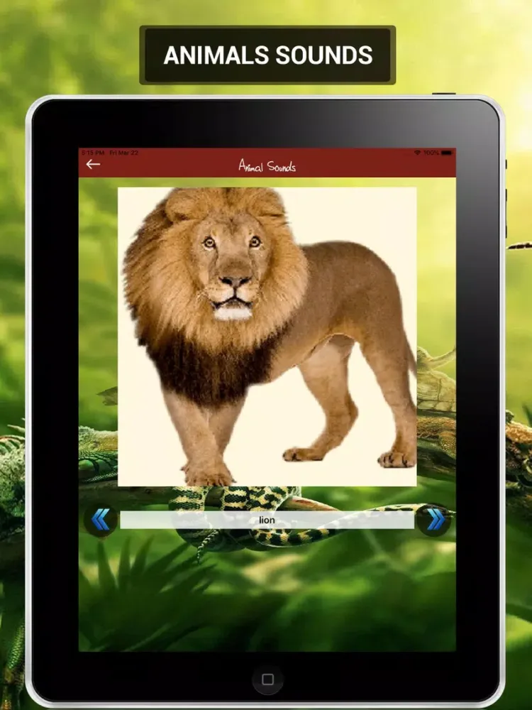Animal Sounds 2019 iPad 应用截图