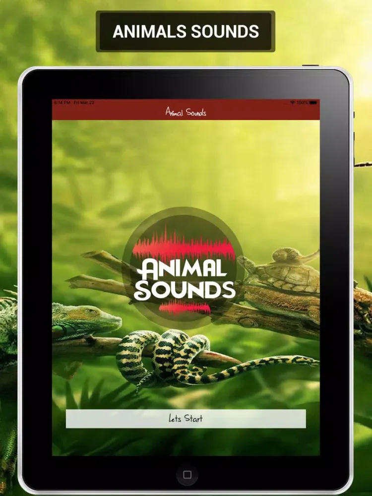 Animal Sounds 2019 iPad 应用截图