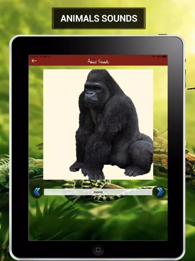 Animal Sounds 2019 iPad 应用截图