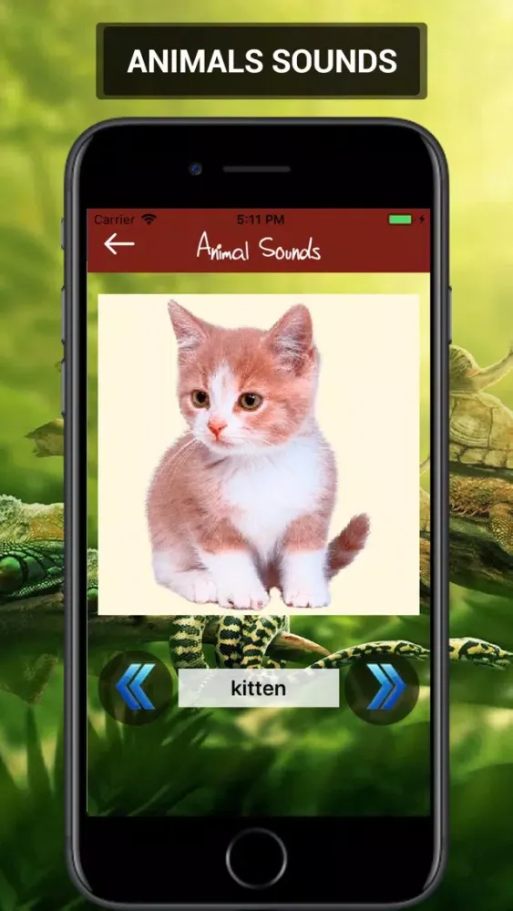 Animal Sounds 2019应用截图