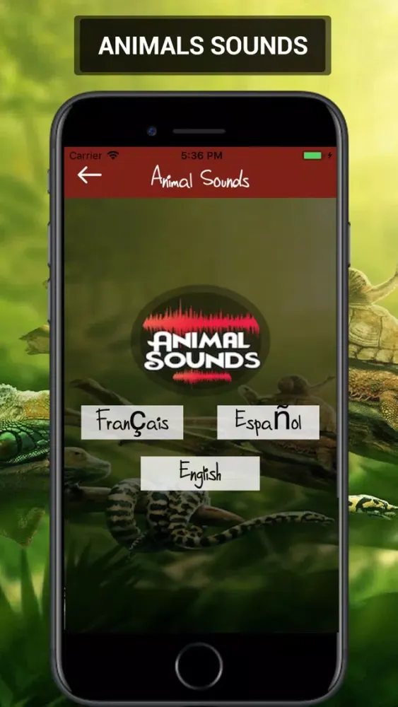 Animal Sounds 2019应用截图