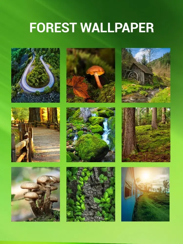 Скриншоты Forest Wallpapers Hd iPad 