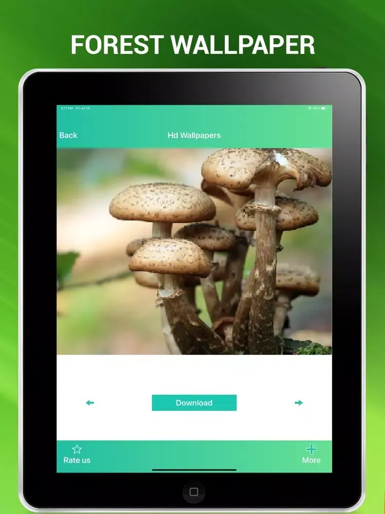 Скриншоты Forest Wallpapers Hd iPad 